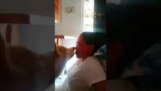 Nakihati ang bata kaso#doglover #bunso #shortvideo #husky