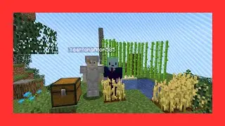Minecraft mit der Java & Bedrock Version zusammenspielen Tutorial