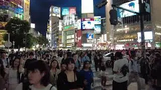 JAV POV Shibuya Scramble #jav #javpov #pov