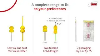 Swine Cervical and Post Cervical Catheters