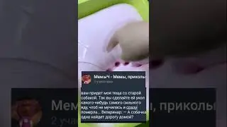 Мемы, приколы, анекдоты. Русские шутки, прикольные видео, приколы. Смехота