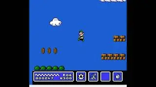 Super Luigi The Red Coin Quest Demo God Mode (Super Mario Bros. 3 Hack)