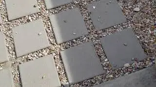 Nobody is Here