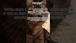 роборубка 3 - берите НИТУ с первым ГАДЖЕТОМ и 1 пассивкой #роборубка #нита #бравлстарс #испытание #.