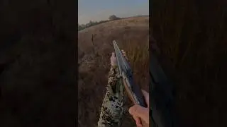Наступил на перепела 😁