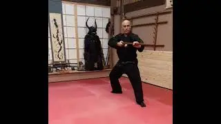 Bo Jutsu  -  Bujinkan Tenryu Dojo