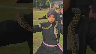 Ada Lawan 