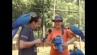 Thermas dos Laranjais em Olimpia - 02