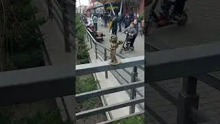 Симферопольские  пчелы-скульптуры