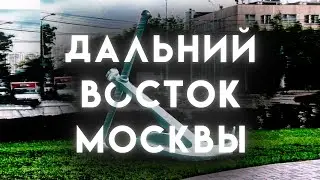 РАЙОННО-КВАРТАЛЬНЫЙ СТРИМ: ПОЛИТИКА НА ДАЛЬНЕМ ВОСТОКЕ МОСКВЫ