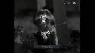 hunting