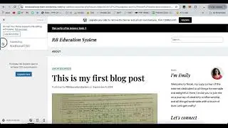 Wordpress options explore