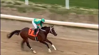 Horse Racing at Churchill Downs  Home of Kentucky Derby
