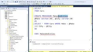 Store Procedures Multiple Parameters