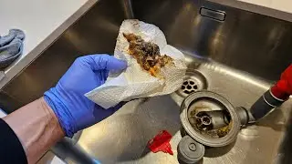 Odore lavello cucina?così si risolve il problema#idraulicofaidate#lavellocucina