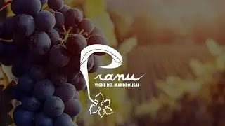 AZIENDA VITIVINICOLA PRANU /SORGONO/NU ( Spot )#2024shorts