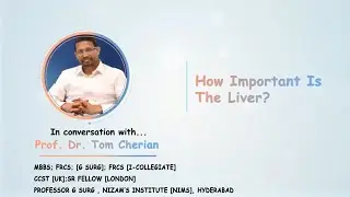 How Important Is The Liver?