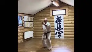 #karate #hanshi #kyokushinkarate #kyokushin #martialarts #yakunin