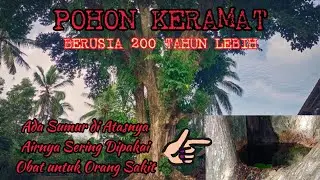 POHON KERAMAT BERUSIA 200 TAHUN LEBIH | ADA SUMURNYA | SERING DIPAKAI UNTUK BEROBAT