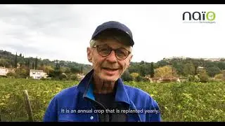 Témoignage de Rémy Foltête -  Clos de Callian