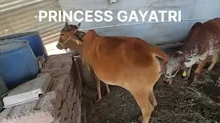 मेरे फार्म की ब्यूटी MY FARM'S BEAUTY