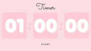 🍑 1 Hour Silent Timer with Cute Ending Alarm | Pastel Peach Timer