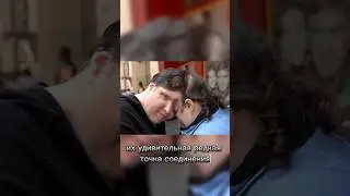 Сиамские близнецы #новости