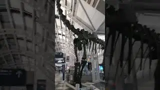 парк юрского периода 