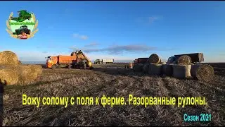 Вожу солому с поля к ферме . Разорванные рулоны.