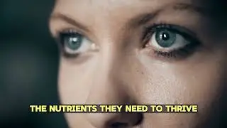 5 Foods That Protect Eyes and Repair Vision (2024)
