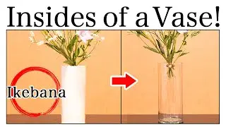 How Does it Look Like Inside an Ikebana Vase?