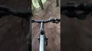 clent hills MTB trails
