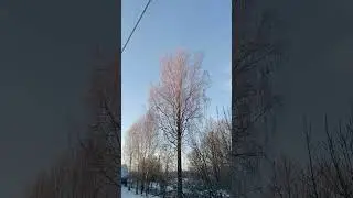 #Shorts#Мороз#-20#деревня#