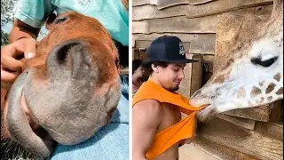 Die besten Videos (Teil 49) || ✪ Stern DuTube