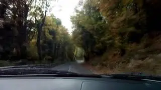 20 10 2018 дорога