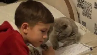 Кот учит уроки         Cat learns lessons