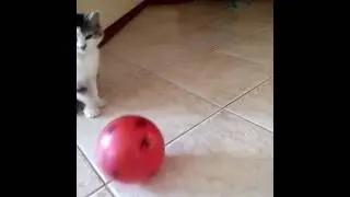 Сново играю