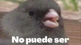 SE ACABA LA TEMPORADA Y AUN NO  AVANZO EN EL MAINCRA