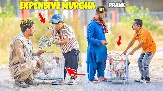 Expensive Murgha (Cock) PRANK - | @NewTalentOfficial