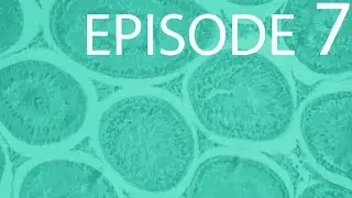 Episode 7 - Introduction to the Cell