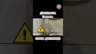 Дуневача