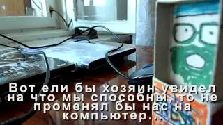 КОРОБКИ: На тропе войны!