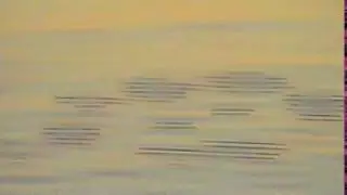 Indirect Meets Nikolaienko - Calming Waves