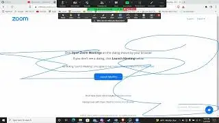 How to Share Screen On Zoom In Laptop | Host And Share Screen In Zoom