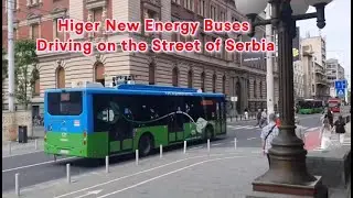 Higer New Energy Buses Driving on the Street of Serbia