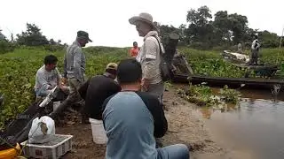Barabai TV - Ch 23 UHF - Maunjun (memancing) Papuyu Ganal di Jenamas (KalTeng)