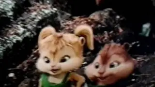 Minha   rotina   da  tarde