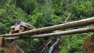 Films about JUNGLE Top 10