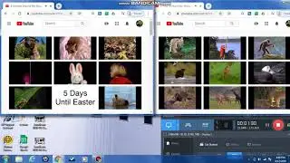 Animals Around Me And Wild Animal Safari Music Videos Playing At The Same Time