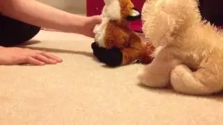 Webkinz Eat The Sky!